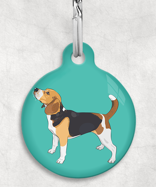 beagle-staand-freepik-zonder-naam-huisdierpenning-turquoise