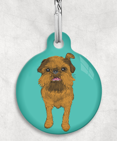 brussels-griffon-bruin-zonder-naam-huisdierpenning-turquoise
