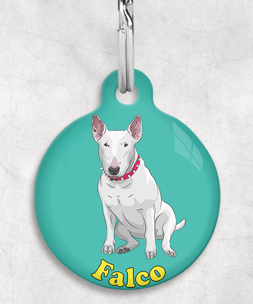 bull-terrier-naam-los-huisdierpenning-turquoise