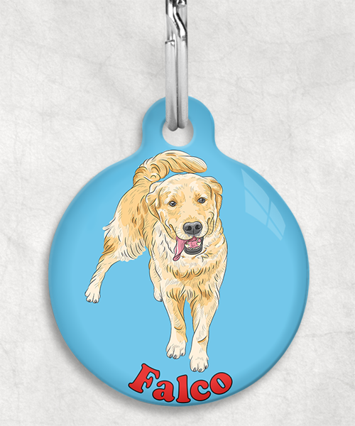golden-retriever-naam-los-huisdierpenning-lichtblauw