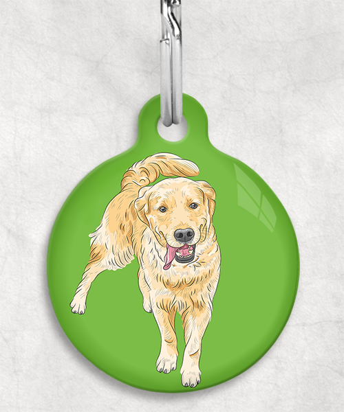 golden-retriever-zonder-naam-huisdierpenning-groen