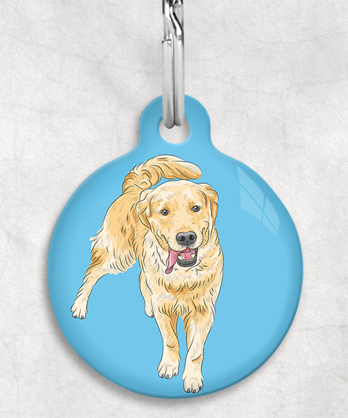golden-retriever-zonder-naam-huisdierpenning-lichtblauw