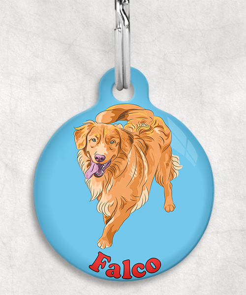 scota-duck-toller-naam-los-huisdierpenning-lichtblauw