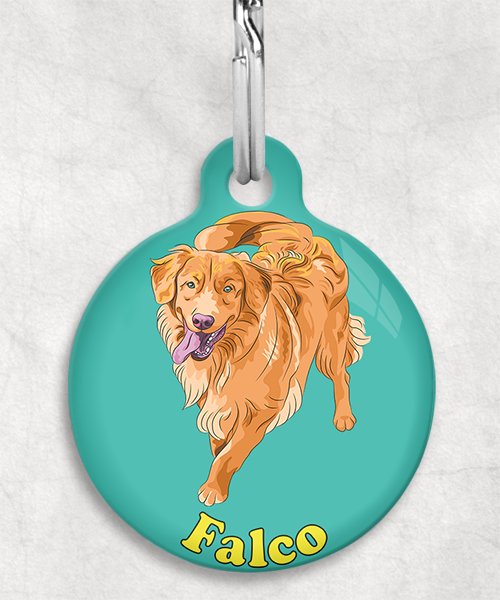 scota-duck-toller-naam-los-huisdierpenning-turquoise