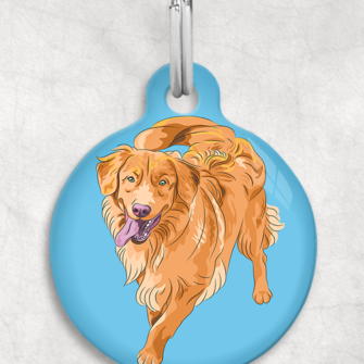 Nova Scotia duck tolling retriever