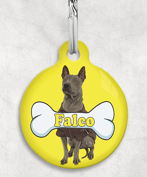 thai-ridgeback-naam-been-huisdierpenning-geel