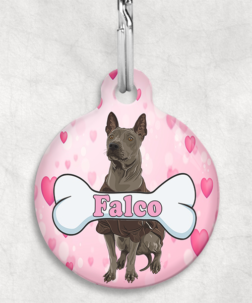 thai-ridgeback-naam-been-huisdierpenning-hartjes