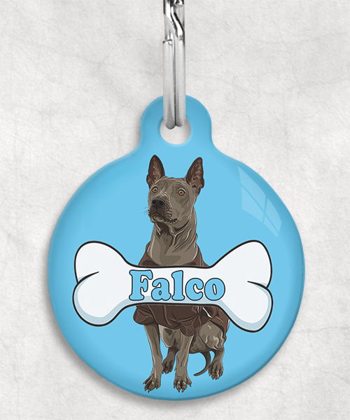 thai-ridgeback-naam-been-huisdierpenning-lichtblauw