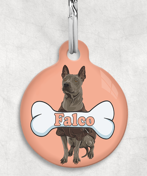thai-ridgeback-naam-been-huisdierpenning-peach