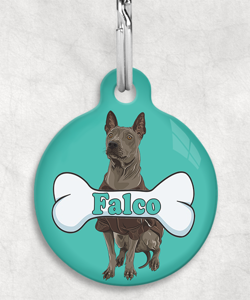 thai-ridgeback-naam-been-huisdierpenning-turquoise