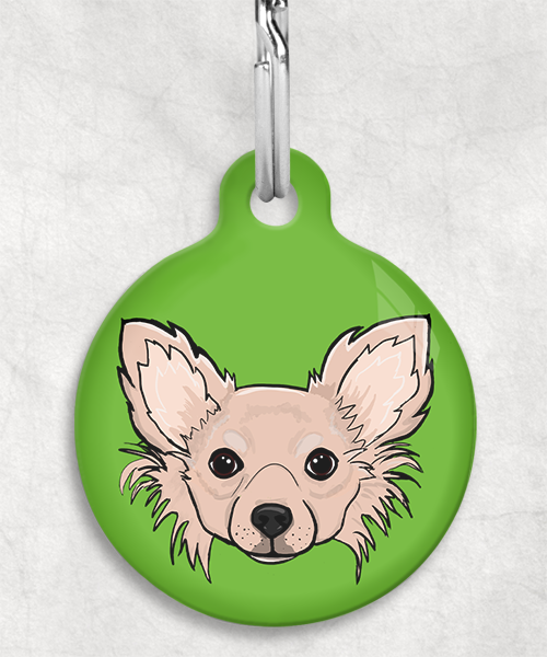 langharige-chihuahua-beige-zonder-naam-huisdierpenning-groen