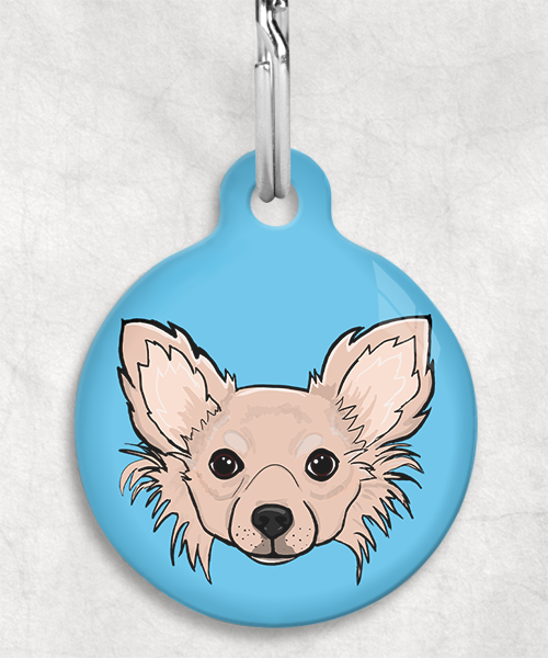 langharige-chihuahua-beige-zonder-naam-huisdierpenning-lichtblauw