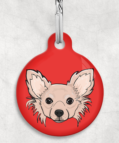 langharige-chihuahua-beige-zonder-naam-huisdierpenning-rood