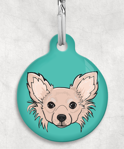 langharige-chihuahua-beige-zonder-naam-huisdierpenning-turquoise