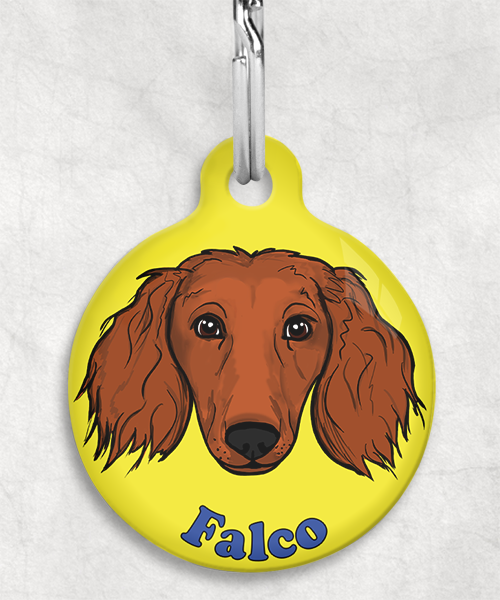 langharige-teckel-red-naam-los-huisdierpenning-geel