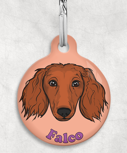 langharige-teckel-red-naam-los-huisdierpenning-peach