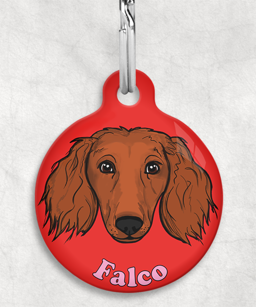 langharige-teckel-red-naam-los-huisdierpenning-rood