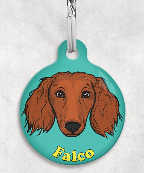 langharige-teckel-red-naam-los-huisdierpenning-turquoise