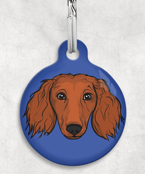 langharige-teckel-red-zonder-naam-huisdierpenning-blauw