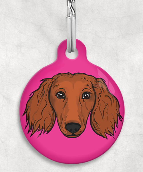 langharige-teckel-red-zonder-naam-huisdierpenning-fushia