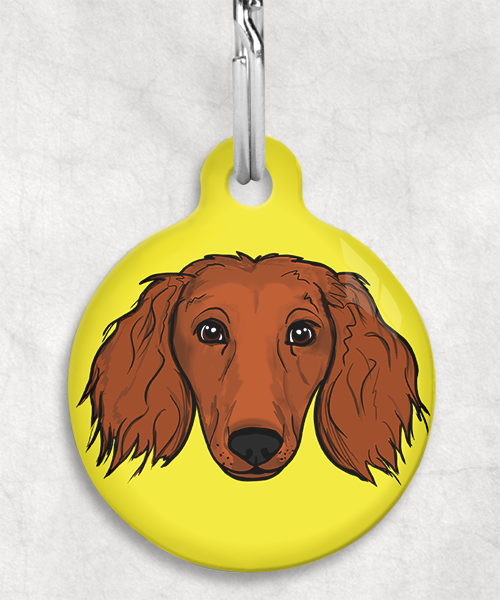 langharige-teckel-red-zonder-naam-huisdierpenning-geel