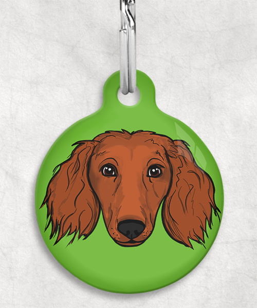 langharige-teckel-red-zonder-naam-huisdierpenning-groen