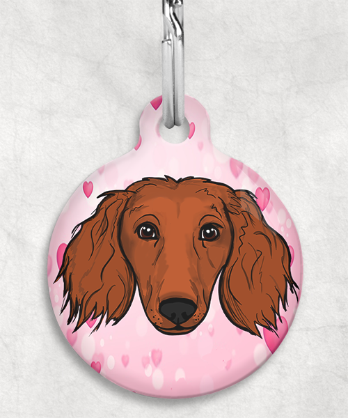 langharige-teckel-red-zonder-naam-huisdierpenning-hartjes