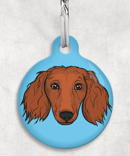 langharige-teckel-red-zonder-naam-huisdierpenning-lichtblauw