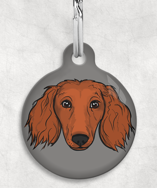 langharige-teckel-red-zonder-naam-huisdierpenning-lichtgrijs