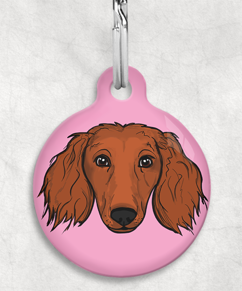 langharige-teckel-red-zonder-naam-huisdierpenning-lichtroze