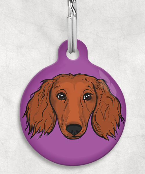 langharige-teckel-red-zonder-naam-huisdierpenning-lilla