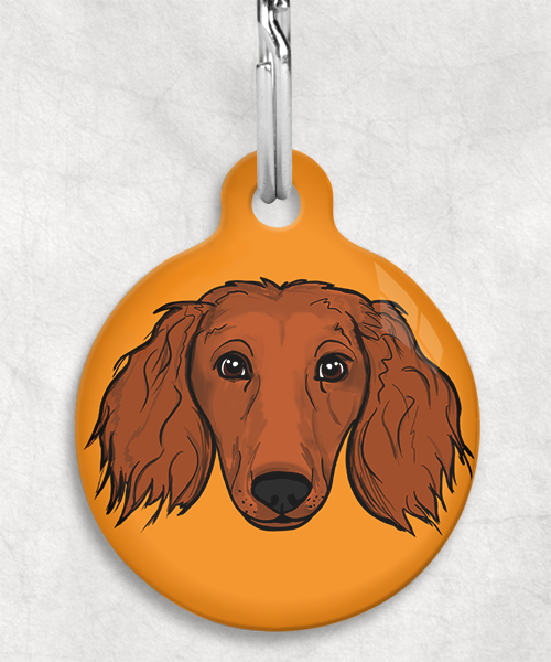 langharige-teckel-red-zonder-naam-huisdierpenning-oranje