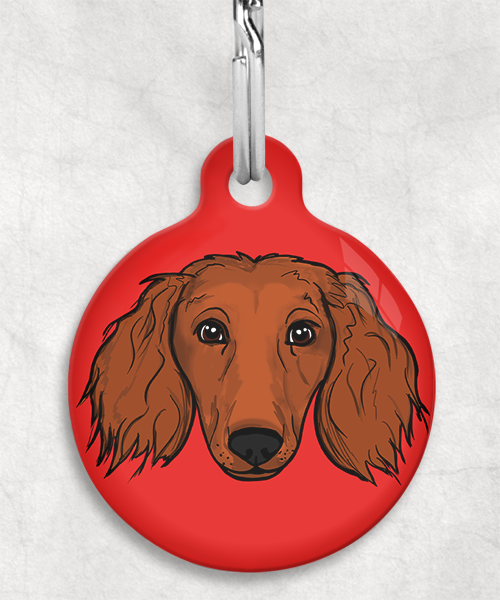 langharige-teckel-red-zonder-naam-huisdierpenning-rood