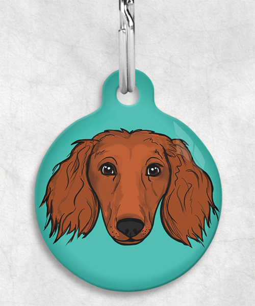 langharige-teckel-red-zonder-naam-huisdierpenning-turquoise