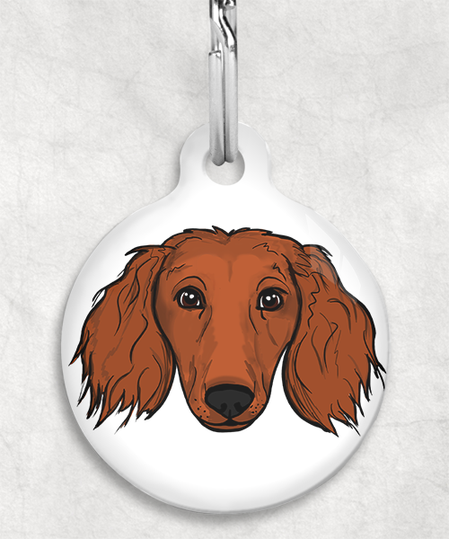 langharige-teckel-red-zonder-naam-huisdierpenning-wit