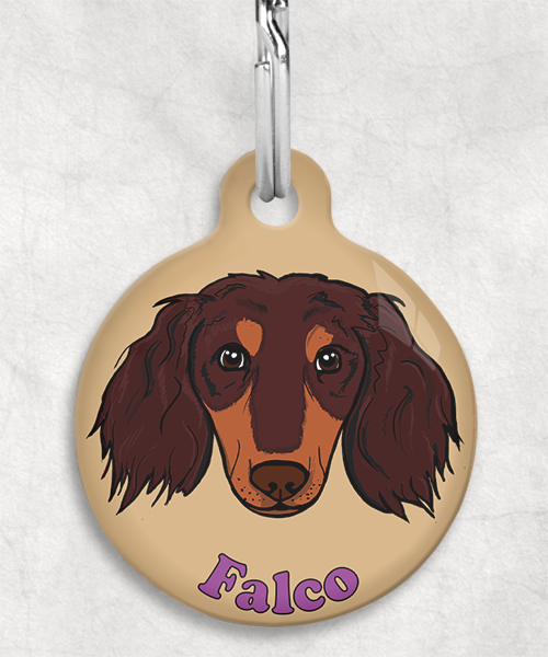 teckel-choco-tan-lang-haar-zelf-naam-los-huisdierpenning-beige