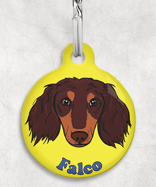 teckel-choco-tan-lang-haar-zelf-naam-los-huisdierpenning-geel