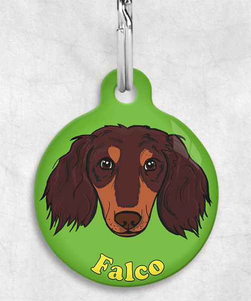 teckel-choco-tan-lang-haar-zelf-naam-los-huisdierpenning-groen