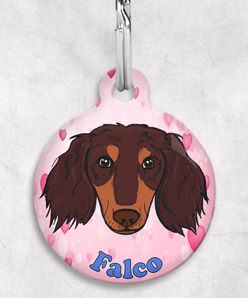 teckel-choco-tan-lang-haar-zelf-naam-los-huisdierpenning-hartjes