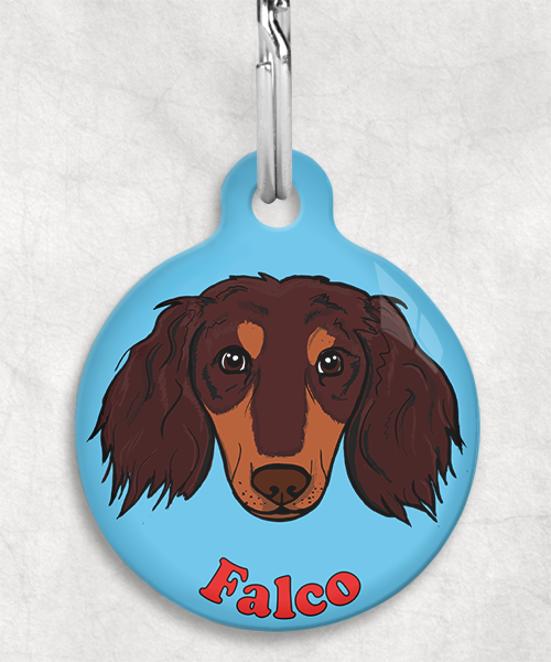 teckel-choco-tan-lang-haar-zelf-naam-los-huisdierpenning-lichtblauw