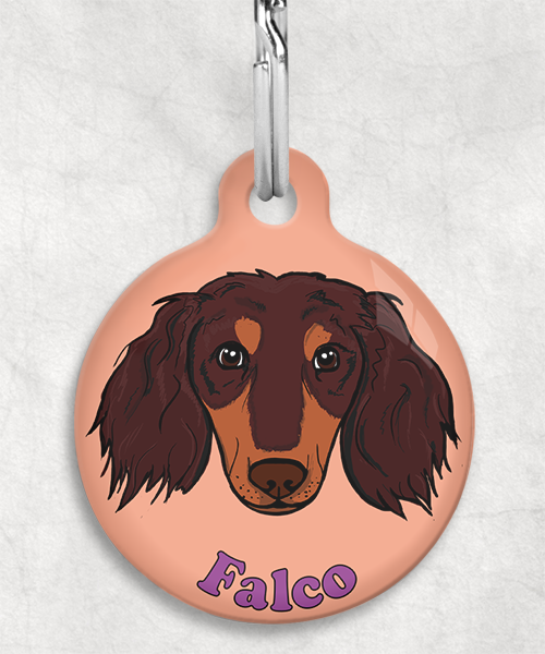 teckel-choco-tan-lang-haar-zelf-naam-los-huisdierpenning-peach