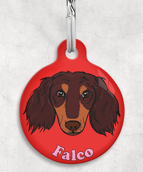 teckel-choco-tan-lang-haar-zelf-naam-los-huisdierpenning-rood