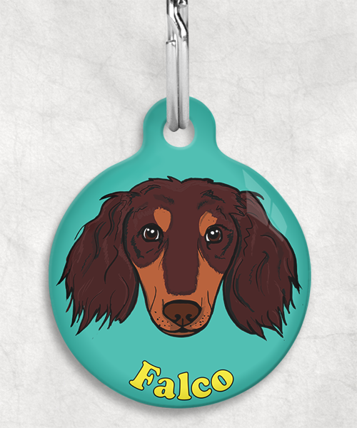 teckel-choco-tan-lang-haar-zelf-naam-los-huisdierpenning-turquoise