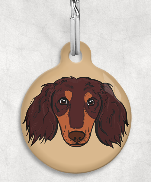 teckel-choco-tan-lang-haar-zelf-zonder-naam-huisdierpenning-beige