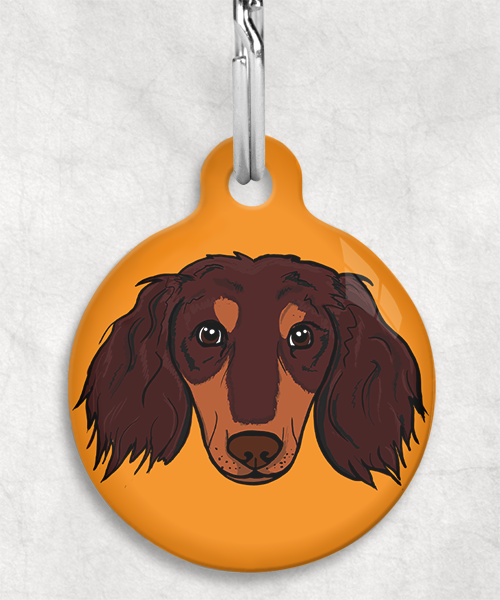 teckel-choco-tan-lang-haar-zelf-zonder-naam-huisdierpenning-oranje